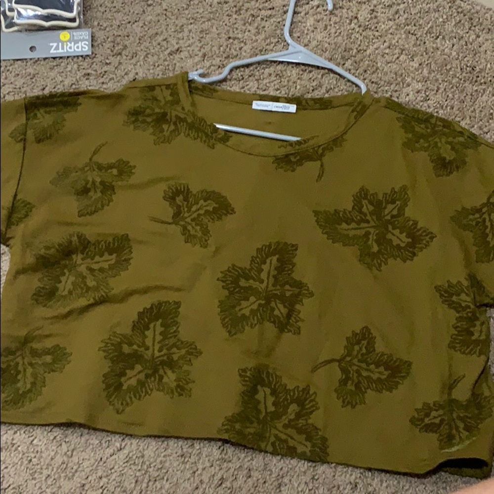 Zara Basics cropped green top